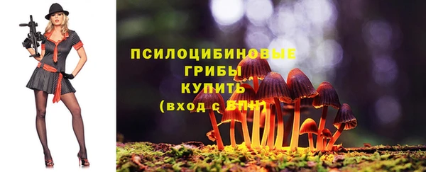 герыч Бронницы