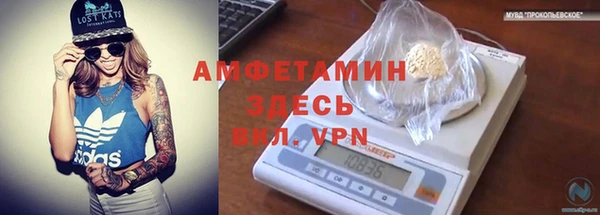 ешки Бородино